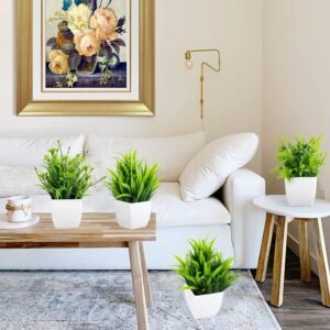 home decoration plants